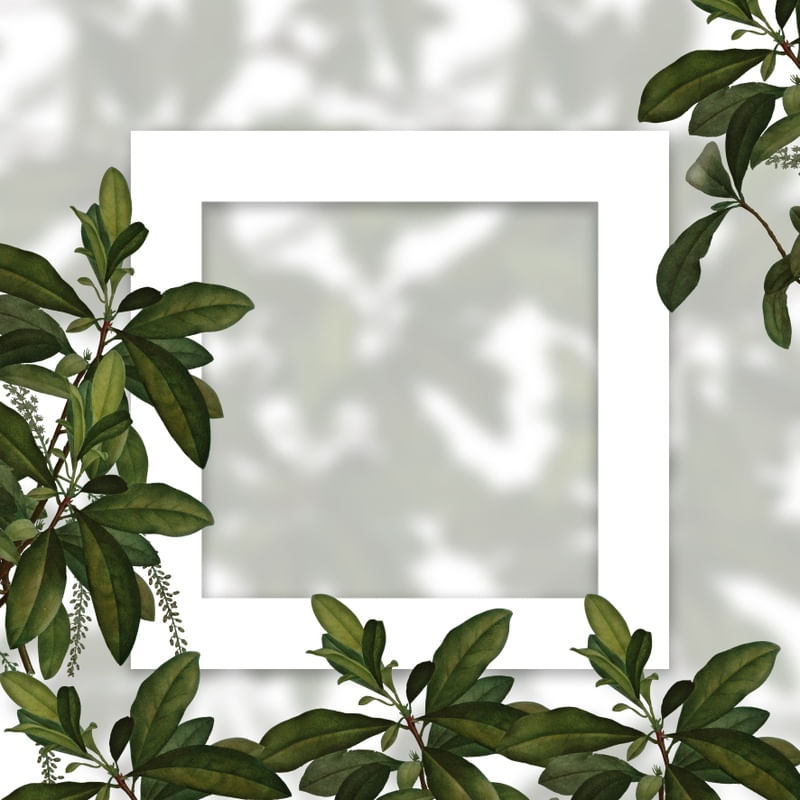 QUADRO EM BRANCO COM FOLHAS