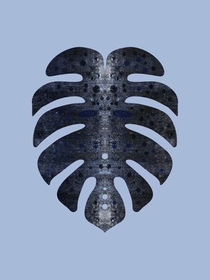 MONSTERA GOLD 020