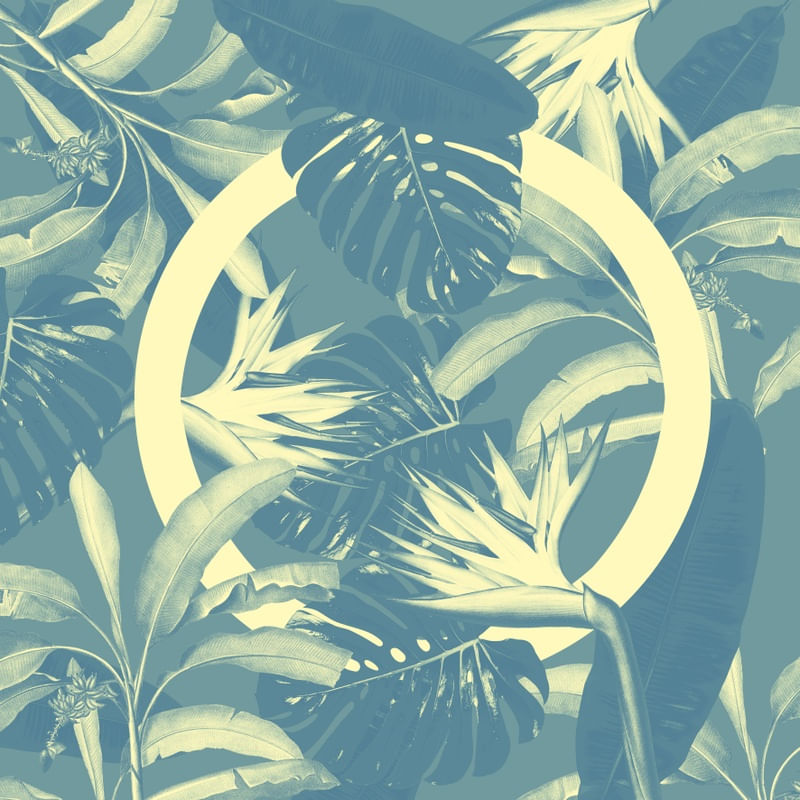 PLANTA VERDE AZUL