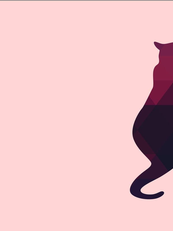 GATO DE RETALHOS