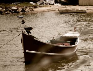 UM BARCO