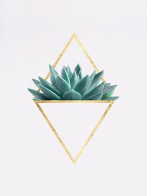CACTOS E OURO I