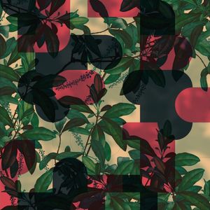 BLOCOS PUZZLE COM PLANTAS 01