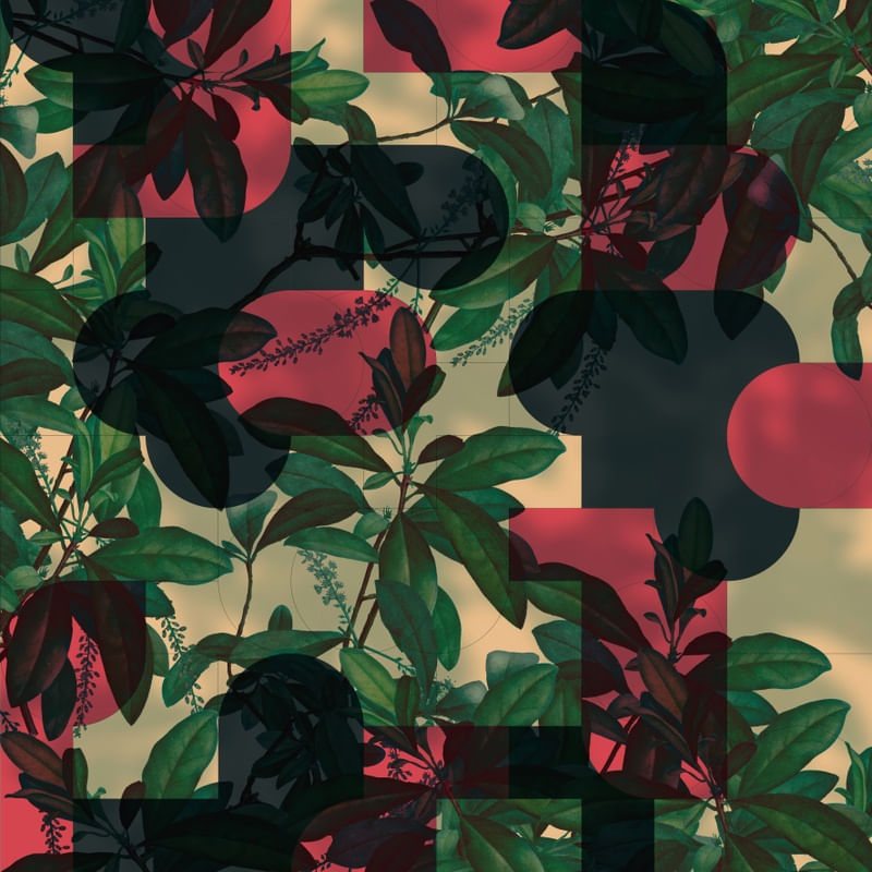 BLOCOS PUZZLE COM PLANTAS 01