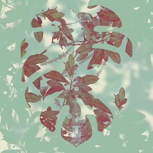 LEAVES HEART