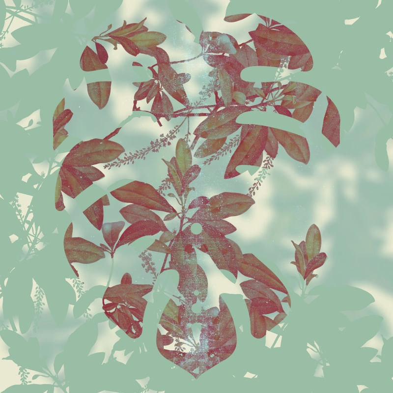 LEAVES HEART