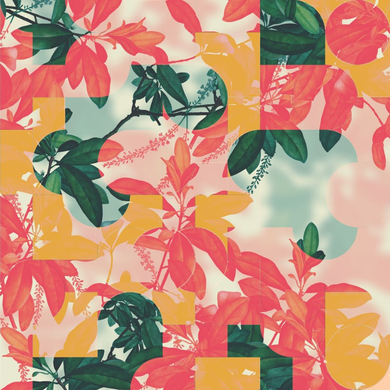MOSAICO DE PLANTAS