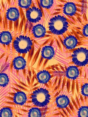 SUNFLOWER LARANJA E ROXO