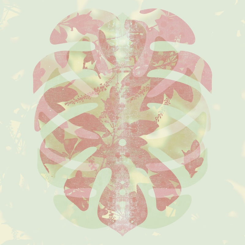 COOL MONSTERA LIGHT