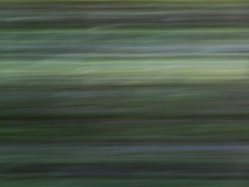 FOTOGRAFIA ABSTRATA 04