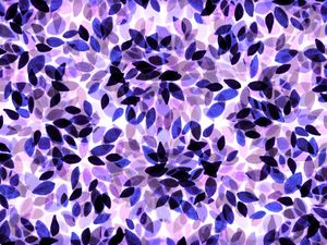 DAHLIA DOTS, PURPLE MULTI