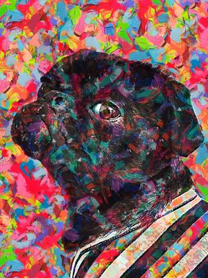 JUST ANOTHER PUG