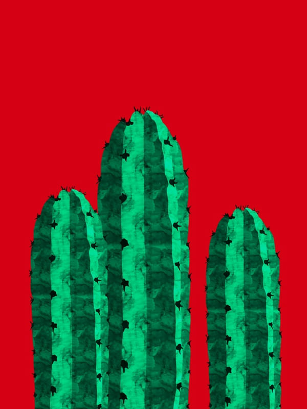 JARDIM DE CACTOS III