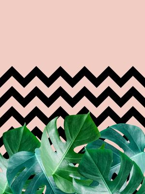 FOLHAS E CHEVRON
