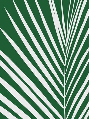 PLANTA TROPICAL XI