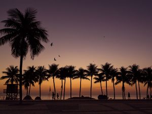 COPA SUNSET