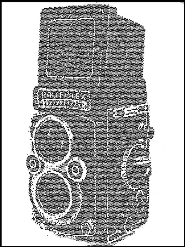 ROLLEYFLEX 6X6