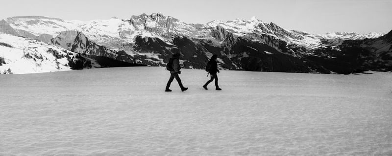 WALKING VIEW