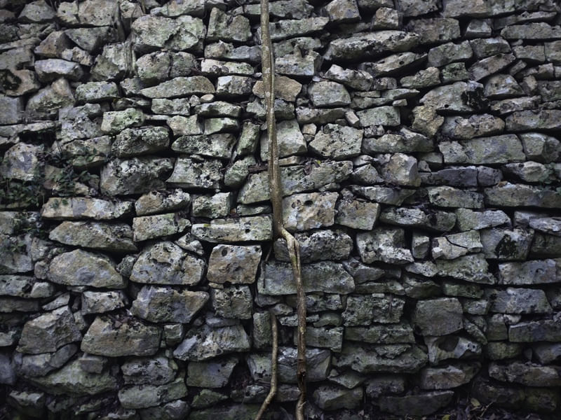 ROCK WALL