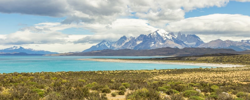 LAGUNA AMARGA TORRES DEL PAINE