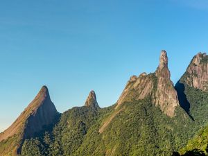 O PARQUE NACIONAL DA SERRA DOS ORGÃOS