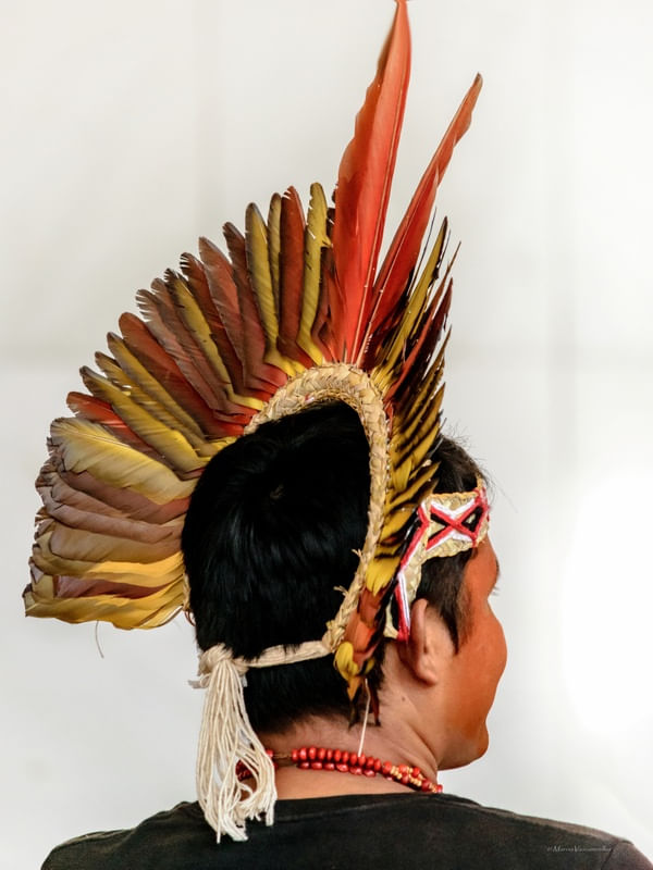 INDIÍGENA 2A