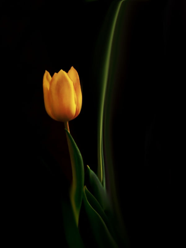 UNA FLOR SOLAMENTE
