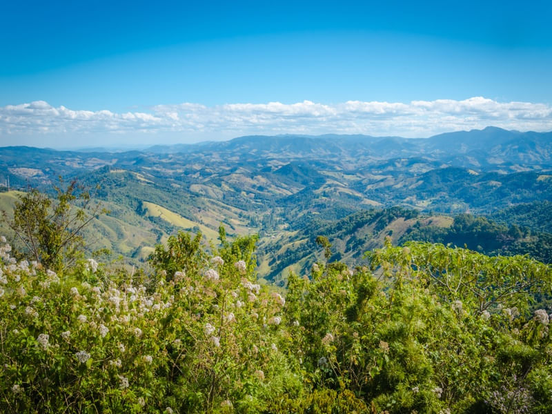 VISTA CHINESA, CAMPOS DO JORDÃO #1