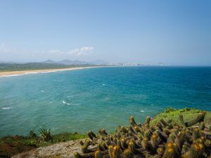 PRAIA SELVAGEM #1