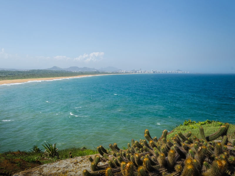PRAIA SELVAGEM #1