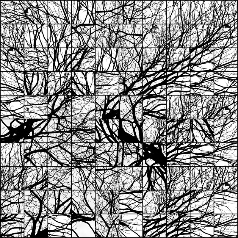 RIZOMÁTICO ABSTRATO