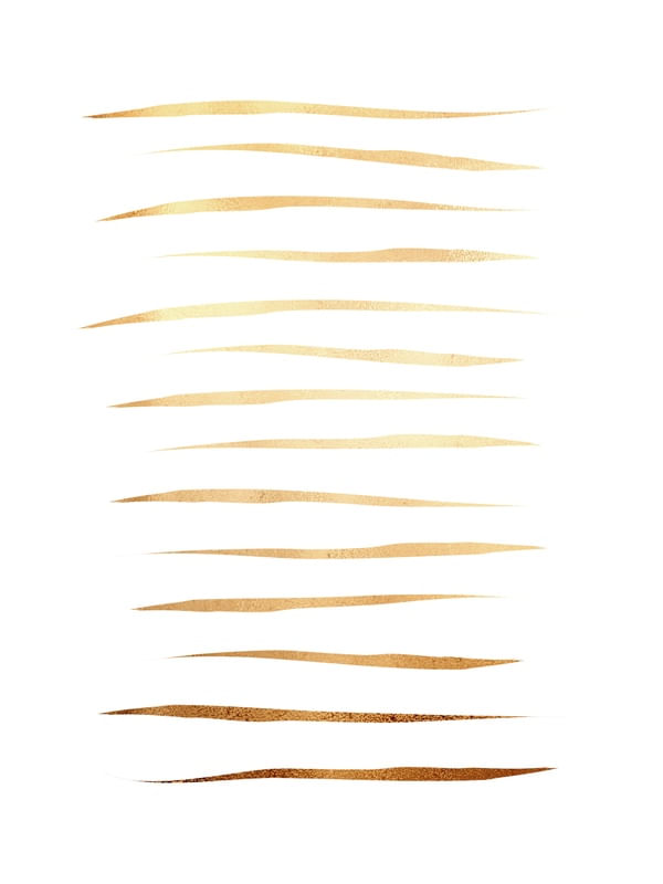 GOLD LINES - WHITE