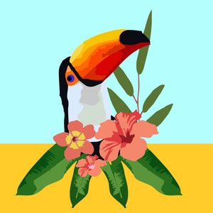 O TUCANO