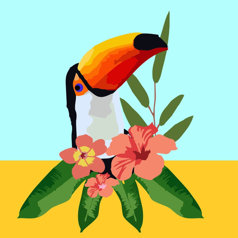 O TUCANO