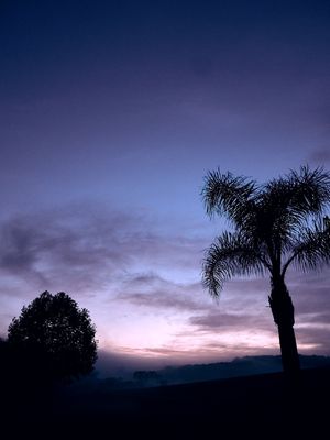 CRAZYSKY