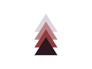 TRIANGULAR - COLOR 5 (P)