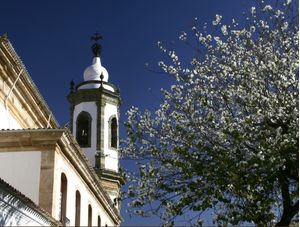 TEMPLO EM FLOR