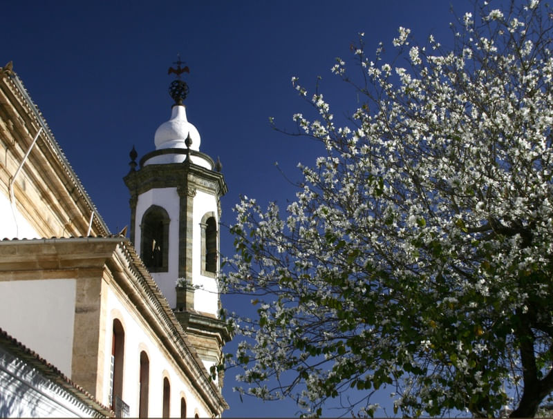 TEMPLO EM FLOR