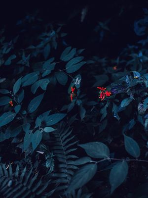 PLANT BLUE ART