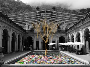 AS CORES DO RIO - PARQUE LAGE
