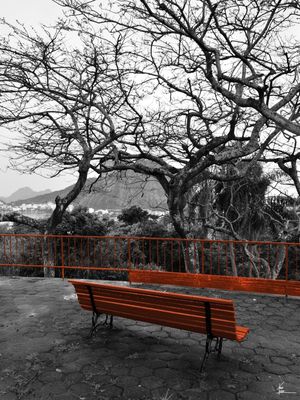 AS CORES DO RIO - INVERNO