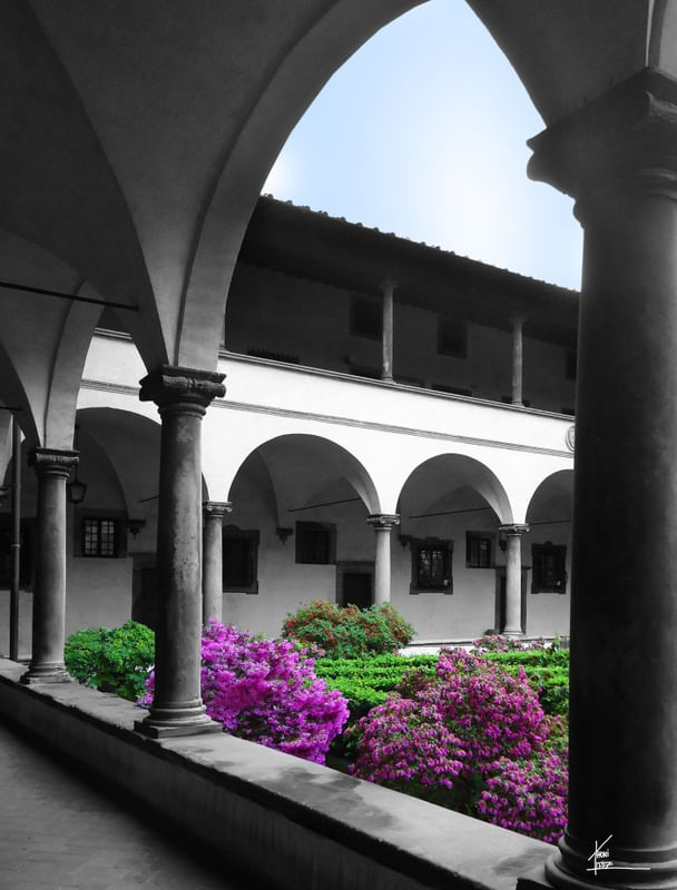 O JARDIM MEDICINAL - FLORENÇA