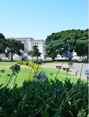 BUENOS AIRES - PARQUES