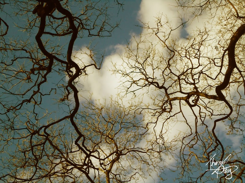 CÉU DE INVERNO