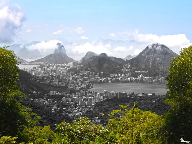 AS CORES DO RIO - FLORESTA DA TIJUCA 2