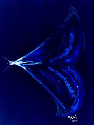 LIBELAGEM BLUE