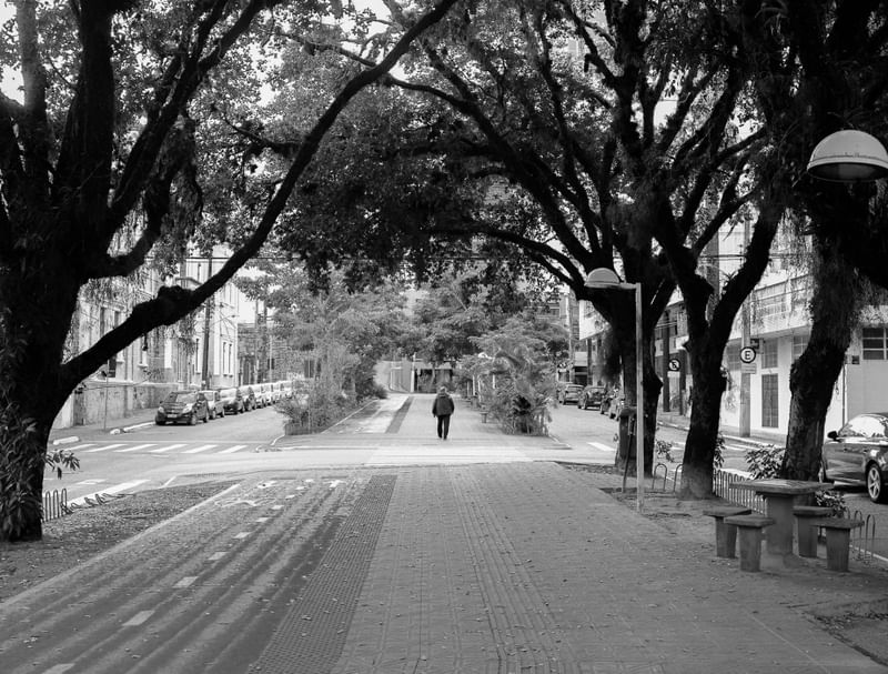 SOLITÁRIO NA AVENIDA