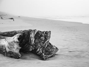 PRAIA DA ENSEADA