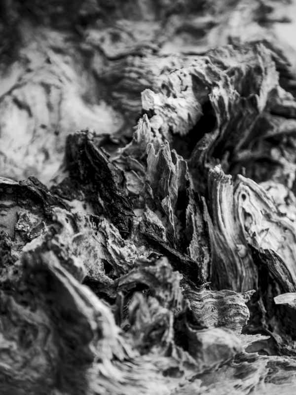 WOOD ABSTRATA 2