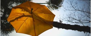 GUARDA CHUVA NA ÁRVORE